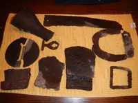 DSCN7422.webp