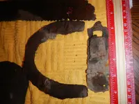 DSCN7425.webp