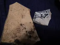 DSCN7428.webp