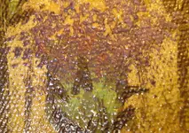 DSC03360a.webp