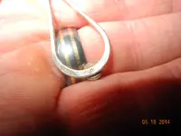 DSCN0004.webp