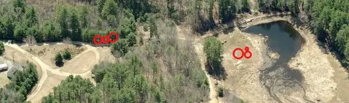 Pics2-angifogg.webp