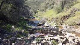 20140405_151538.webp