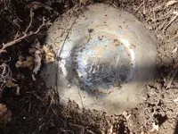 1930 ford hubcap find.webp