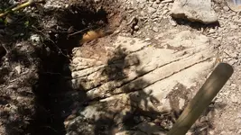 20140503_143823.webp