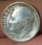 1961 Rosie.webp