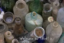 20090521032232_old_bottles_for_sale.webp