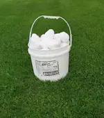 Snow.webp