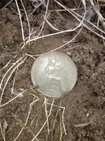 image-91137420.webp