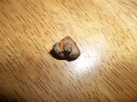 meteorite.webp