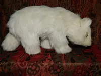 DSCN4257.webp
