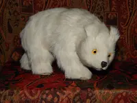 DSCN4258.webp