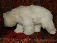 DSCN4259.webp
