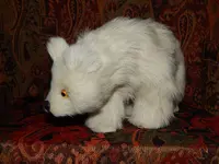 DSCN4261.webp