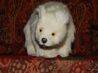 DSCN4262.webp