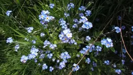 IMG_0825.webp