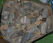 DSCN0158.webp