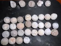 round balls 2.webp