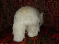 DSCN4263.webp