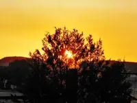 RSCN1478.webp