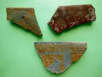 DSCN1408.webp