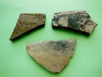 DSCN1409.webp