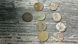 penny quality.webp