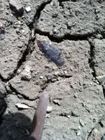 IMG_0087.webp IMG_0087.webp