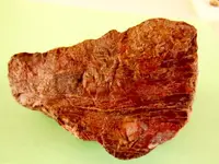RSCN7907.webp