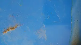 20140505_155156.webp 20140505_155156.webp