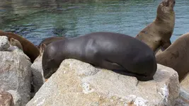100_4460.webp