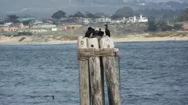 100_4505.webp
