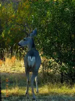 DSCN1424.webp