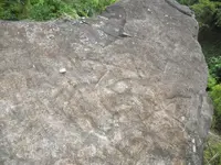 DSCN7153.webp