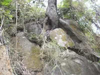 DSCN7162.webp