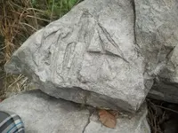 DSCN7163.webp