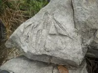 DSCN7164.webp