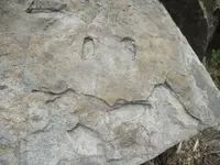 DSCN7166.webp