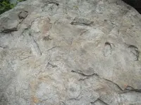 DSCN7167.webp