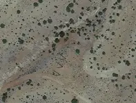 Power Line Shadows.webp