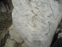 DSCN7171.webp