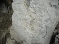 DSCN7172.webp
