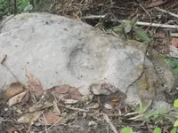 DSCN7173.webp