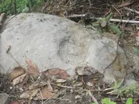 DSCN7174.webp
