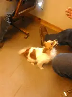 uploadfromtaptalk1398341013633.webp uploadfromtaptalk1398341013633.webp
