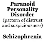 paranoid.webp
