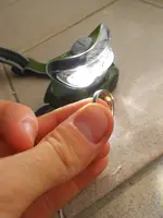DSCN2443.webp