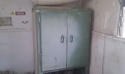 IMAG0386.webp