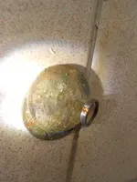 DSCN2449.webp