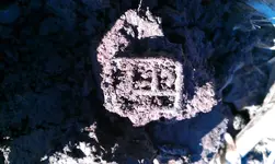 IMAG0728.webp